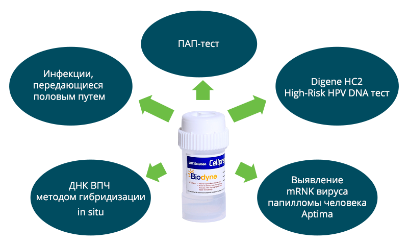 Жидкостная цитология впч тест. Жидкостный пап-тест (жидкостная цитология). Пап-тест для женщин.